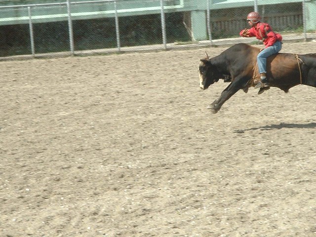 Rodeo- Clicken Sie hier um zu vergrössern -