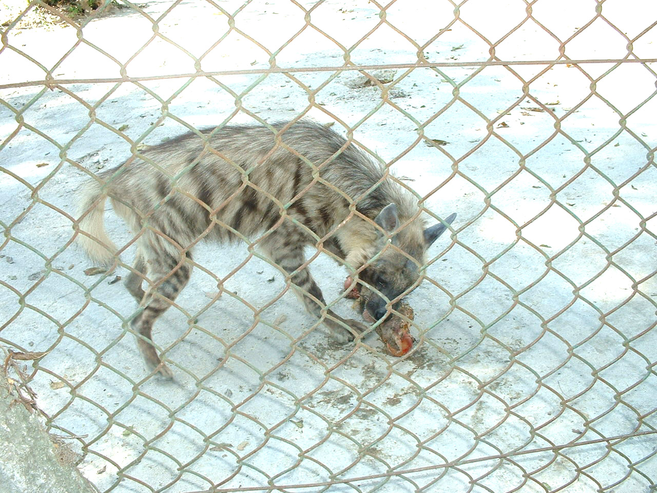 Otras Fotos del Zoológico Nacional