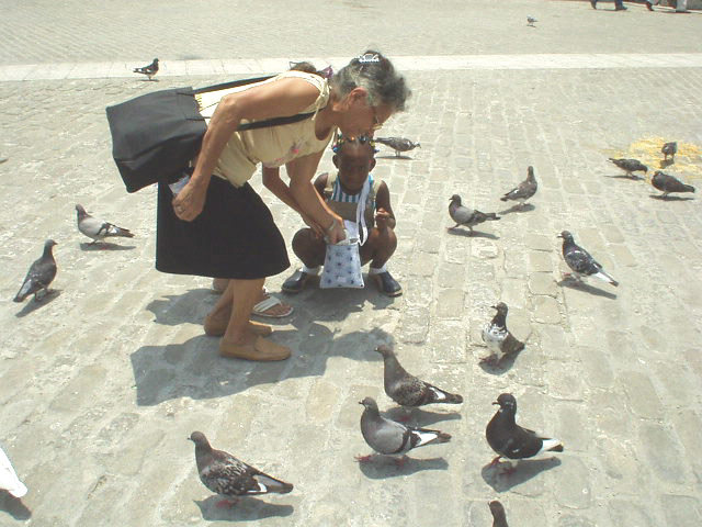 Plaza de San Francisco de Asis