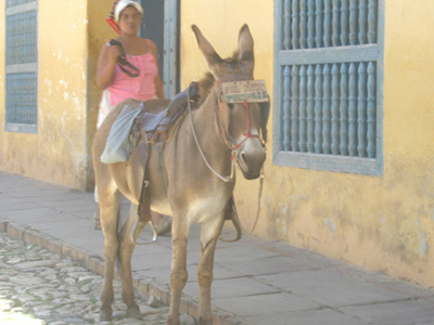 Dar Clic para ampliar la Foto