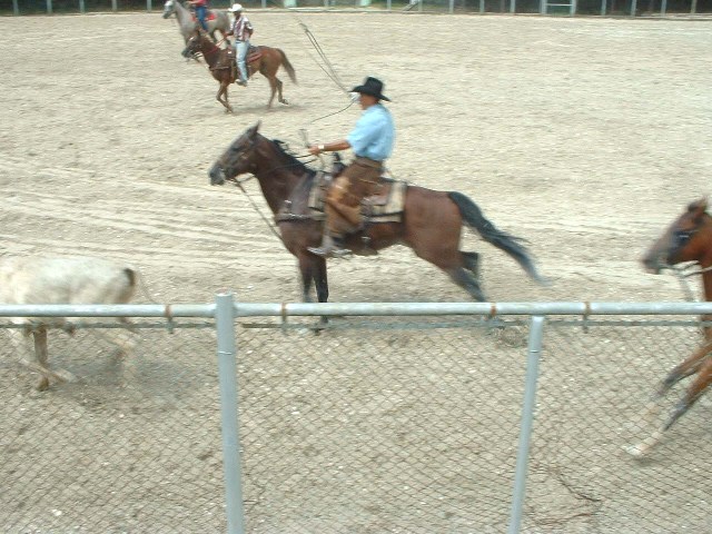 Rodeo- Clicken Sie hier um zu vergrössern -