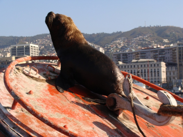 Valparaiso. Dar clic para Ver Detalles