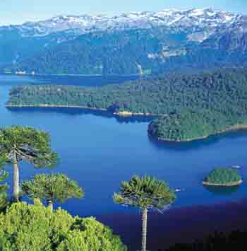 Lake District View