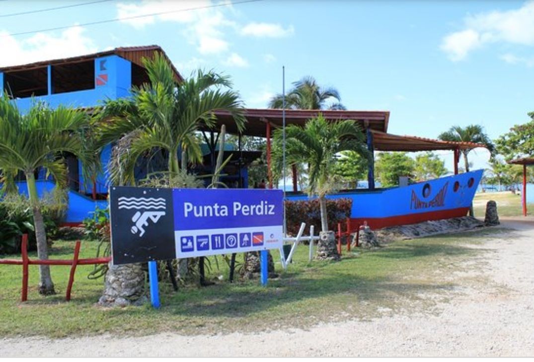 Punta Perdiz