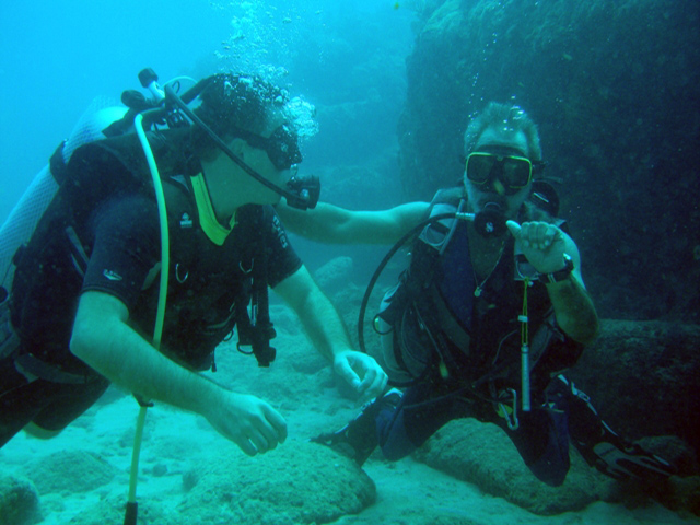 Classes or Excursions of SCubaDiving