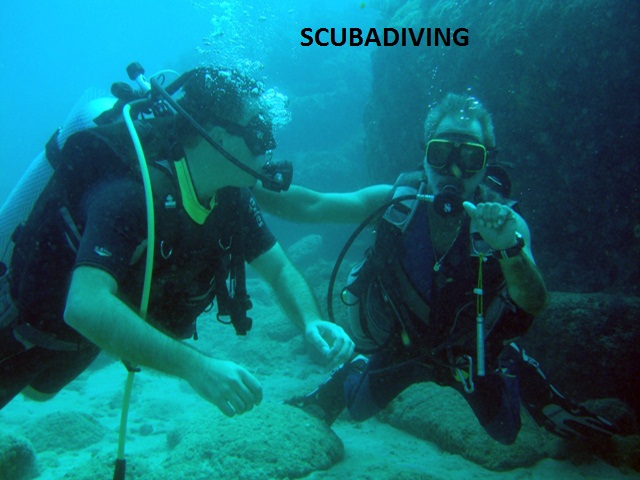 Click To See SCuba Diving Classes or Excursions Offerings